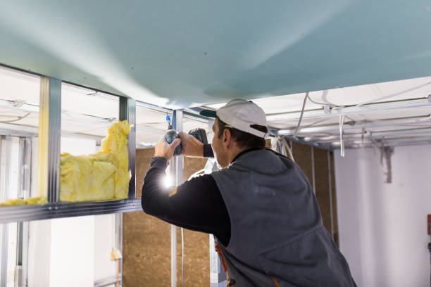 Best Specialized Insulation Services in Edgewood, IN